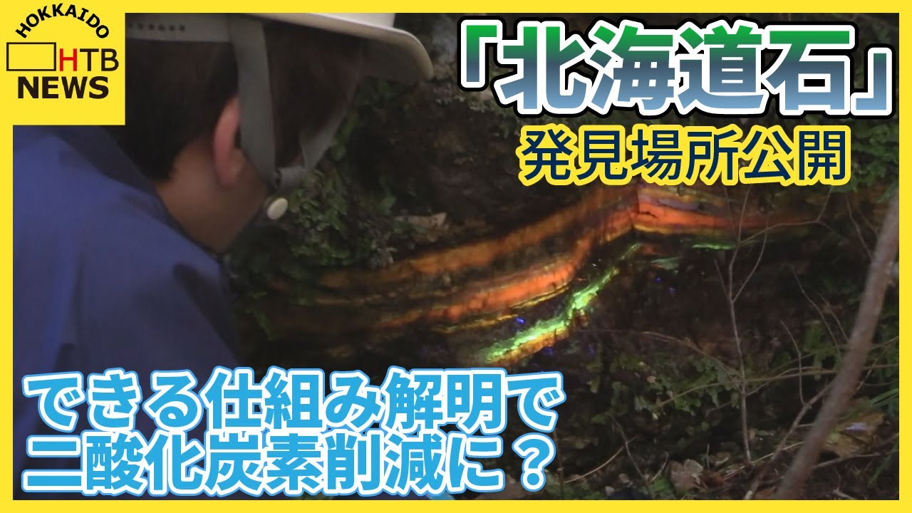 北海道で新たに発見された「北海道石」報道陣に発見場所を公開　できる仕組み解明で二酸化炭素削減に？