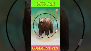 Can You Pause This Bear? 🐻🔥