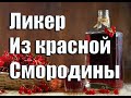 Домашний ликер из красной смородины   Лучший ликер для девочек.Видео 18+