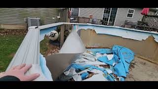 A little Spring Clean-up/Pool situation!