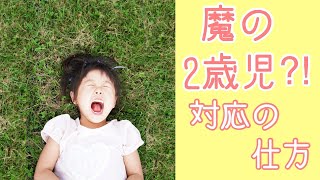 魔の２歳児の対応の仕方