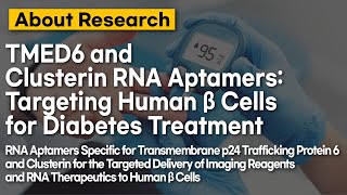 TMED6 and Clusterin RNA Aptamers: Targeting Human β Cells for Diabetes Treatment