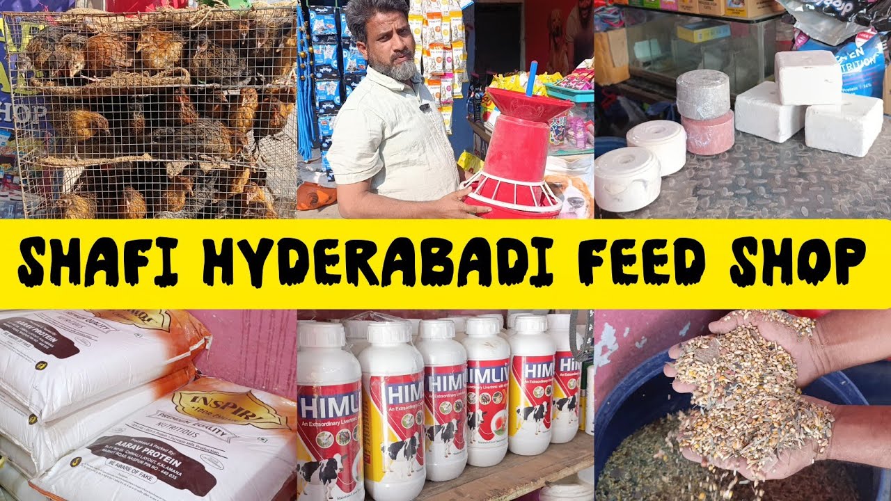 Shafi Hyderabadi Feed Shop || All Accessories for Goat's Sheep's || Feed Shop in Hyderabad