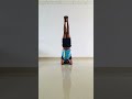 Padma  sirsasana #fitness #acrobatics #sirsasana #flexibility #fyp #yoga #reels #shorts #motivation