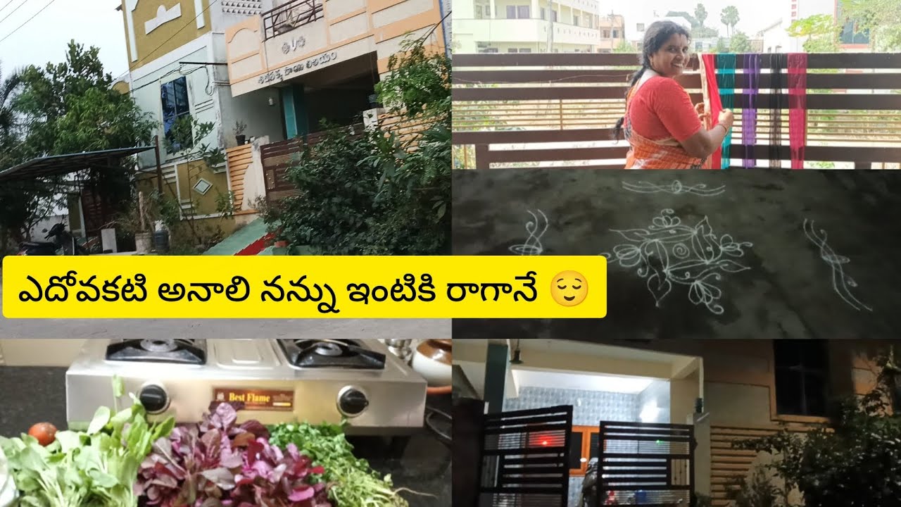 మొక్కలకు నీరు పొయ్యకుండానే అన్ని పూలు పూస్తున్నాయా సాయంత్రం 4టూ8:30వరకు నేను చేసినపనులు