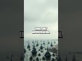 If War Legends Never Existed: The Invisible Engines of War