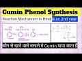 Cumin Phenol Synthesis Reaction Mechanism In Hindi|Organic Chemistry|Bsc 2nd year