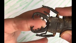 사슴벌레 피규어 리뷰(stag beetle)