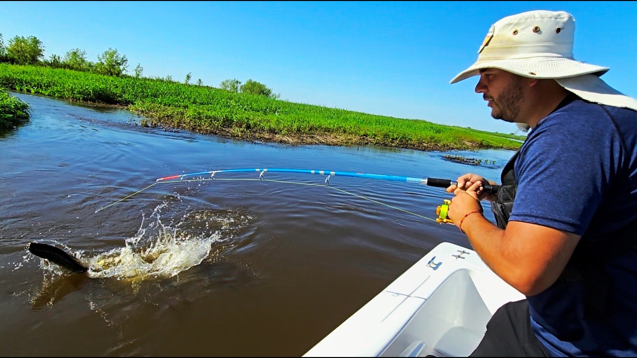 PESCA de dorados en ESQUINA, CORRIENTES un lugar increíble lleno de vida y mucha naturaleza mjpesca