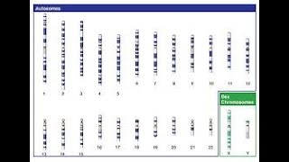Raw Data file, how to download it from 23andme