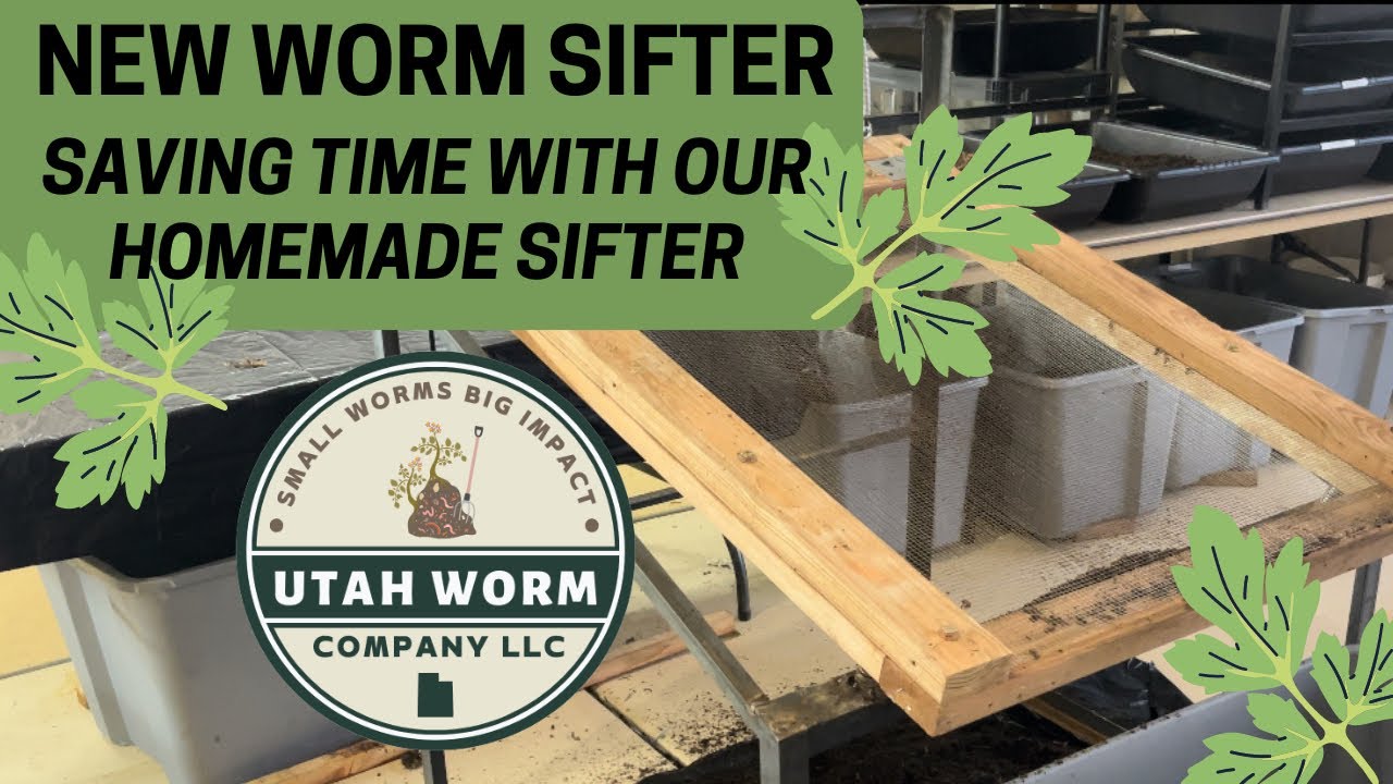Homemade Worm Sifter