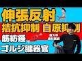 絶対わかる!!伸張反射 拮抗抑制反射 自原抑制反射 筋紡錘 ゴルジ腱器官【解剖生理学74】【神経の生理25】