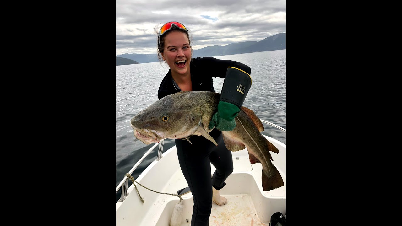 Gigantisk torsk i Sognefjorden