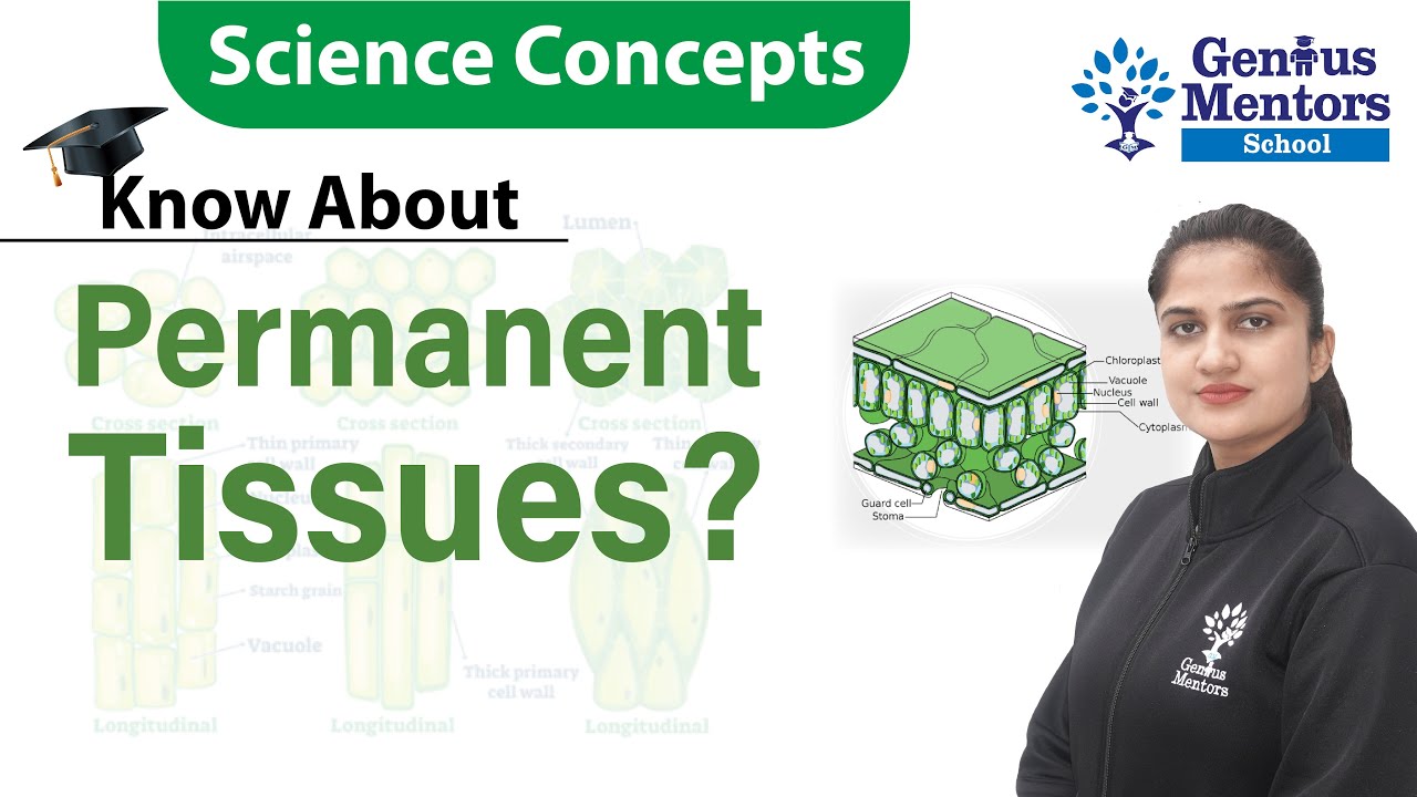 Permanent Tissues | Biology Concept | Science  | Types of Tissues | Genius Mentors School