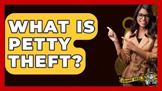 What Is Petty Theft? - The Crime Reel
