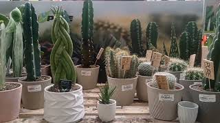 Home Depot End of Summer Search