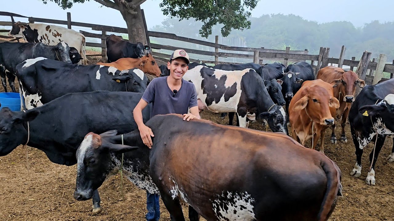 AQUI PARECE UM ZOOLÓGICO DE TANTO BICHO QUE TEM