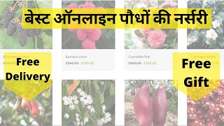 बेस्ट ऑनलाइन पौधों की नर्सरी ! Buy Plants Online