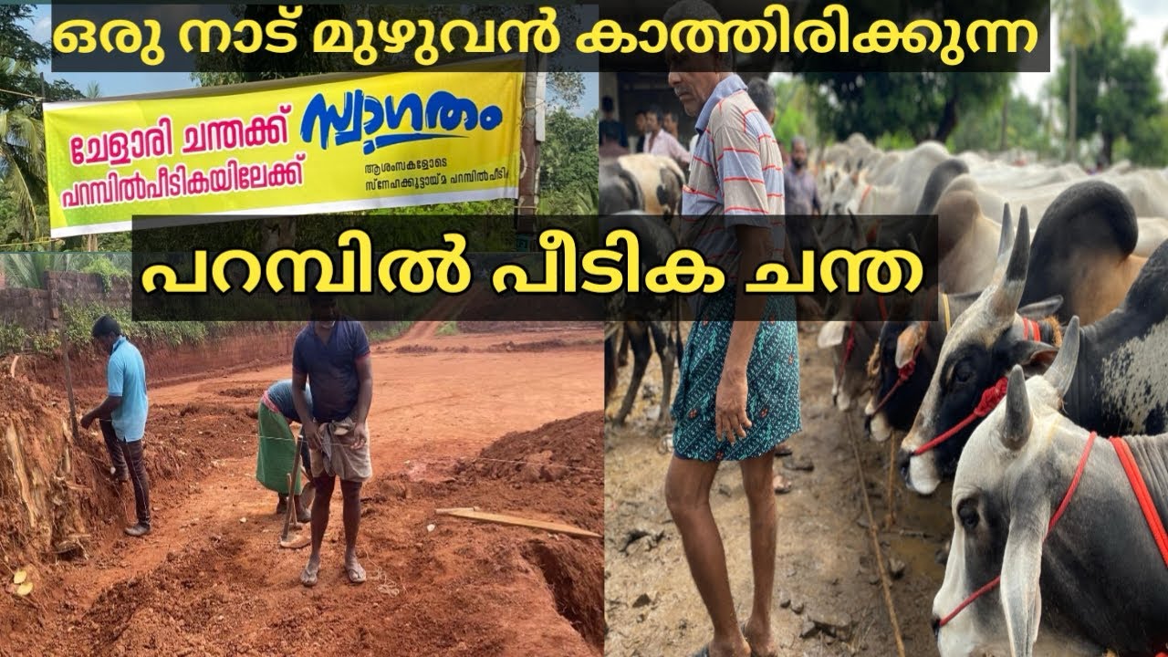 300 വർഷം പഴക്കമുള്ള ചേളാരി ചന്ത ഉടനെ പറമ്പിൽ പീടികയിൽ |chelari chanda|parambilpeedika chanda|beef