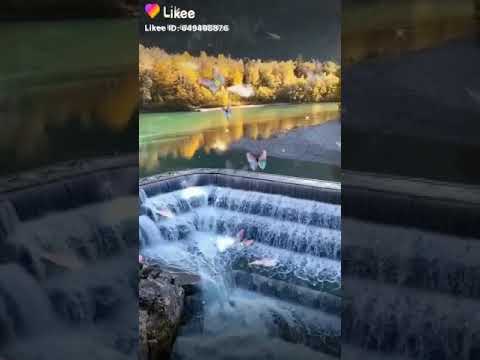 هذه جنه الدنيا ما بال جنه الاخره