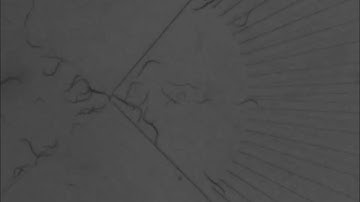 Highly efficient microfluidic sorting device for synchronizing developmental stages of C. elegans...