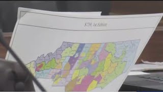 New redistricting maps head to Gov. Hochul's desk