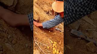 “Real Gold Mining Process – You Won’t Believe This! 😳”