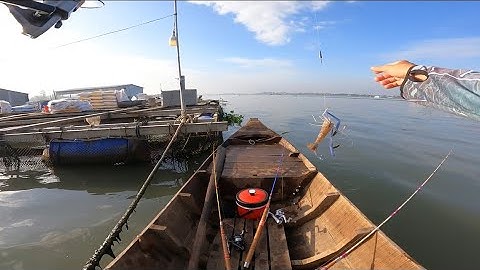 Cuộc chuyến săn tôm càng tại làng bè bình thạnh khai trương máy câu tôm nhật bãi lên tôm càng khủng