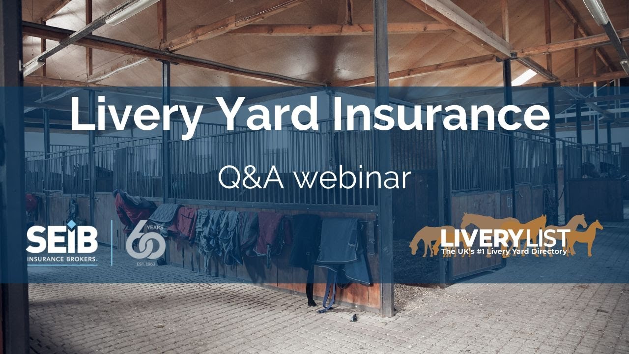 What insurance do you need for your livery yard? YouTube
