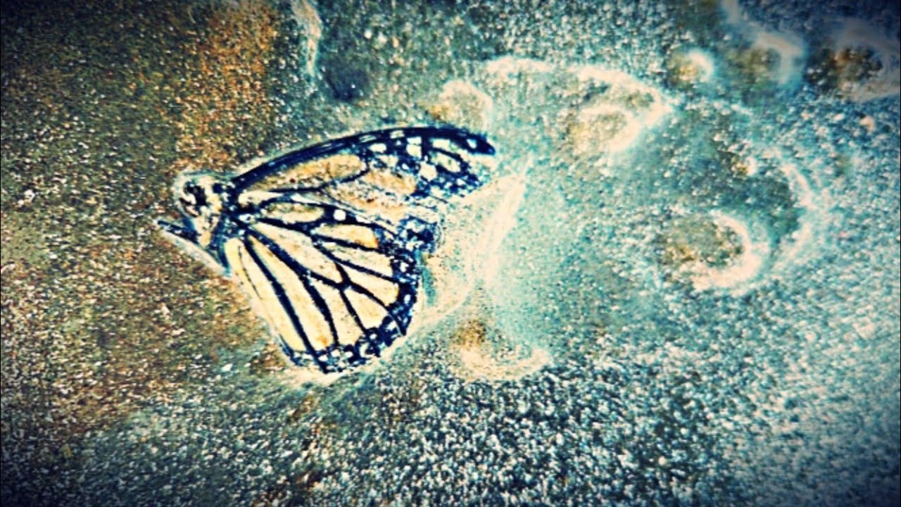 Why Affirmations are Important