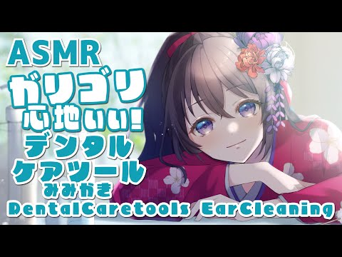 【ASMR/Binaural】デンタルケアツール耳かき/Dental Care Tools Ear Cleaning#03【村瀬巴】