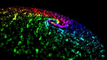 Evolution of a Small Galaxy | N-Body Simulation