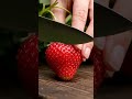 strawberry asmr cutting #asmr #viral