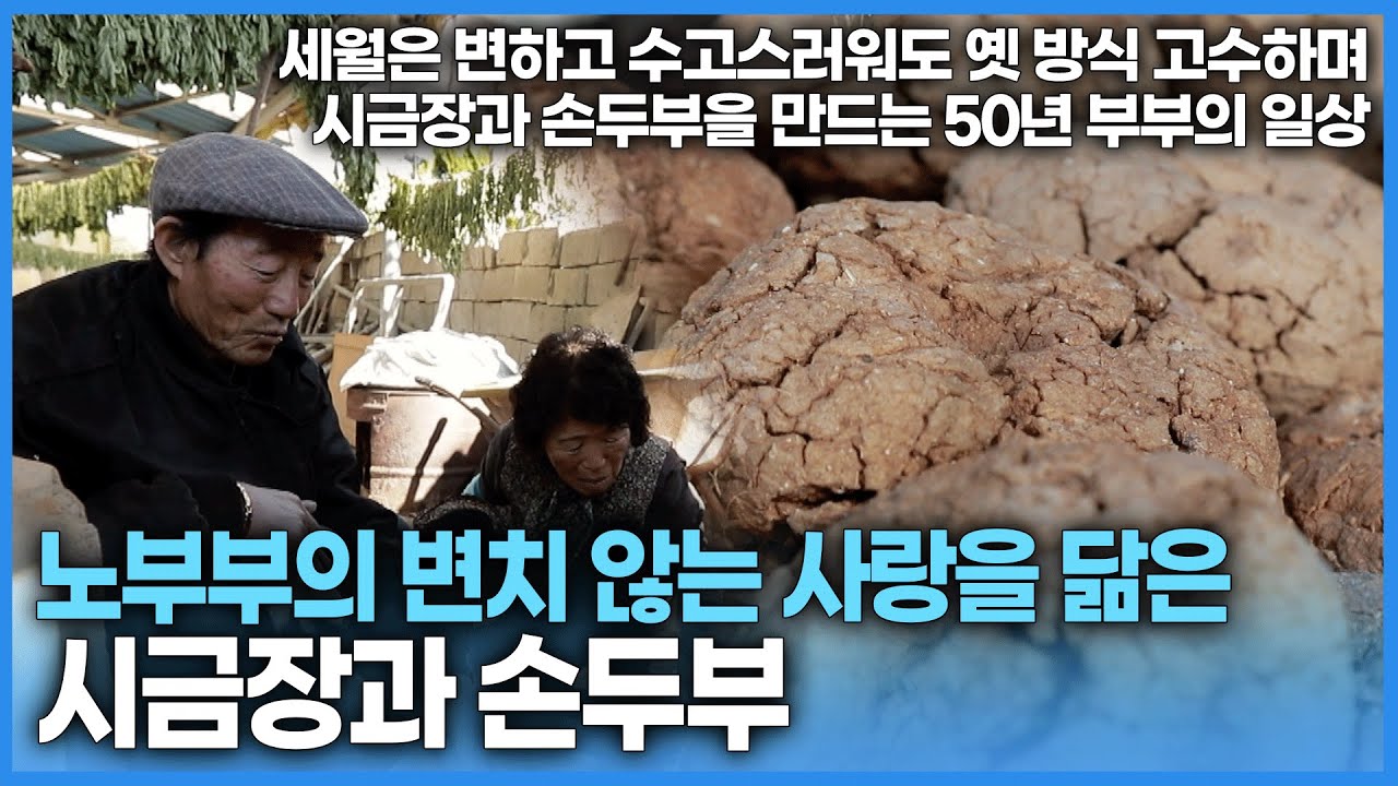 30년 넘게 옛 방식 고수하며 께주메기로 시금장을 만드는 노부부의 일상 |  50년 부부의 인연을 이어온 노부부의 변치 않는 사랑을 닮은 시금장과 손두부