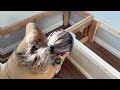 Middle of video