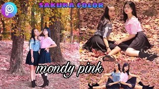 TERBARU tutorial edit foto Sakura color / moody pink PicsArt mudah ,Android & Ios 2019 tanpa preset screenshot 3