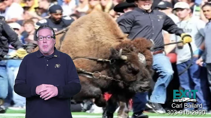 Carl Ballard-GO Buffs!