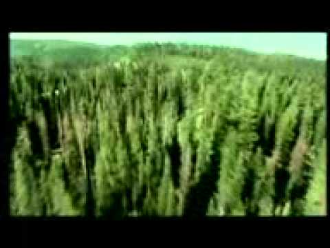 محجوب القاسم يارب تهدينى كلمات الشاعر عصام بطاح 4