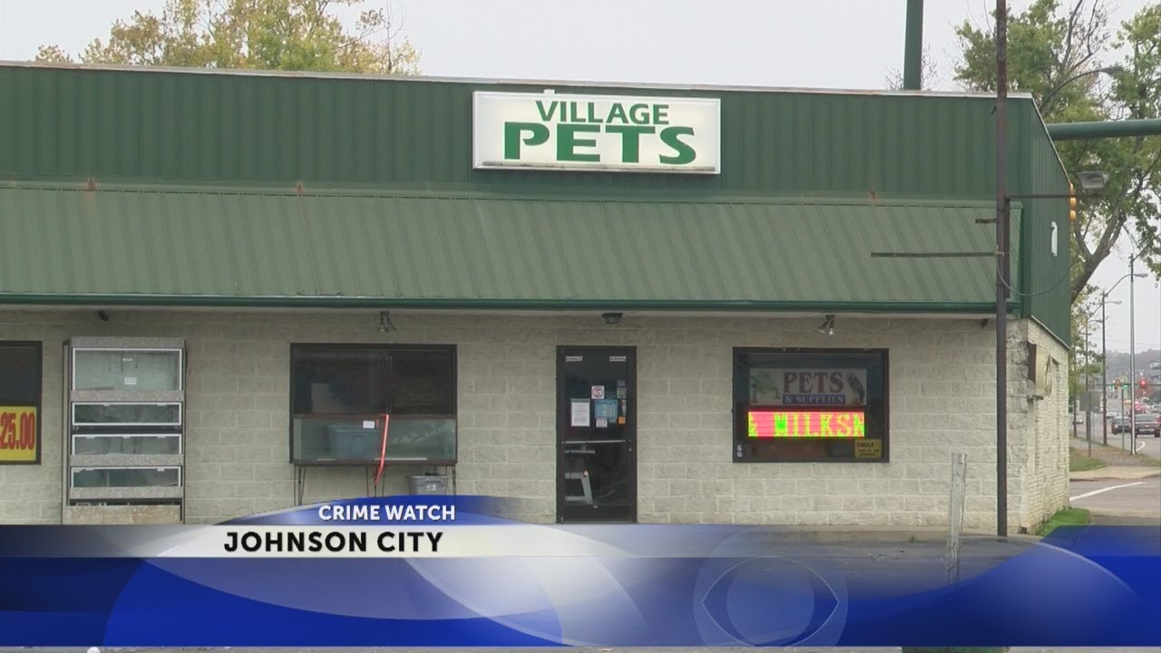 Owner of Johnson City pet store charged with animal cruelty
