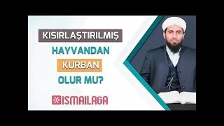 Kısırlaştırılmış Hayvandan Kurban Olur Mu?