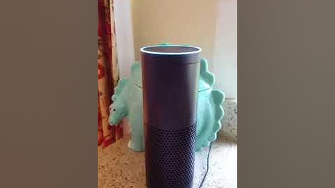 Daily Wellness Check with Amazon Echo