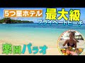 【楽園 パラオ】５つ星ホテル&人気No.1ビーチ