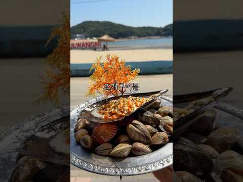 산더미조개92