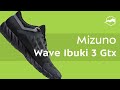 Кроссовки Mizuno Wave Ibuki 3 Gtx. Обзор