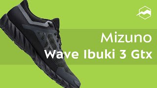 Кроссовки Mizuno Wave Ibuki 3 Gtx. Обзор