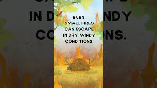Debris Burning | One Less Spark PSA #3