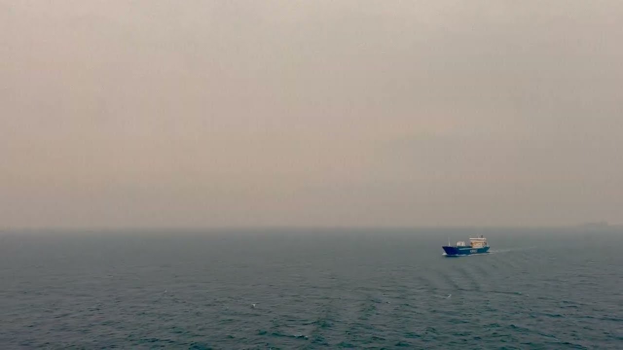 Harbor Tea Rooms - Soul of the Sea (Official Audio)