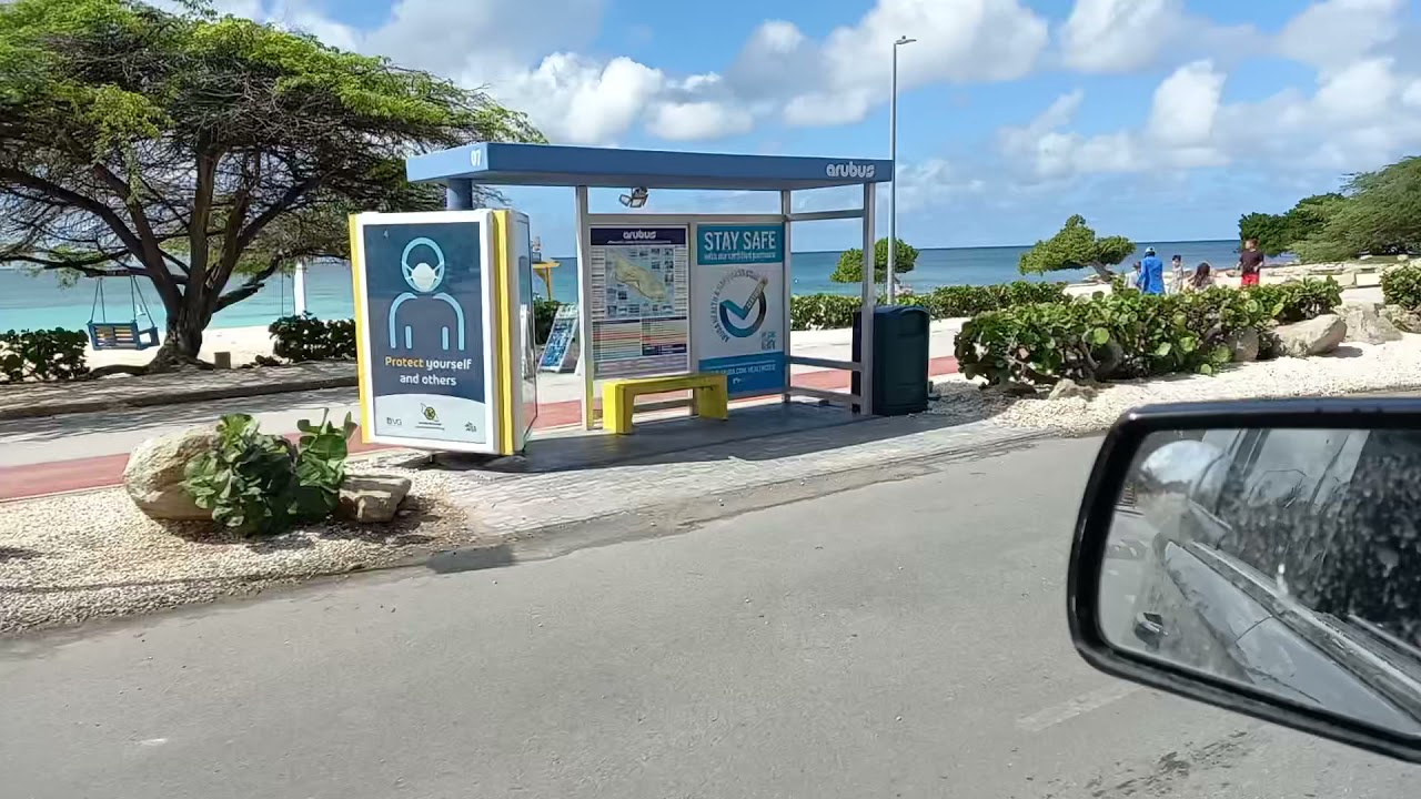 Eagle Beach, Famous Fofoti trees