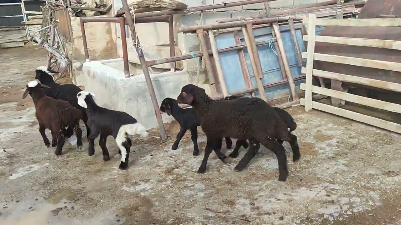 ۲۵ فوریهٔ ۲۰۲۶