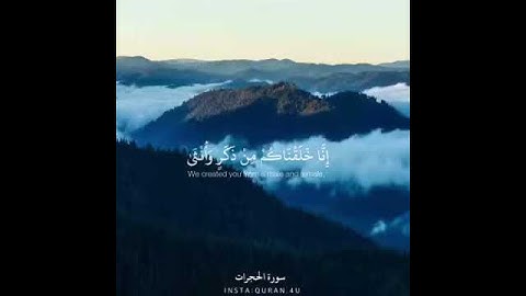 تلاوة ايات من سورة الحجرات